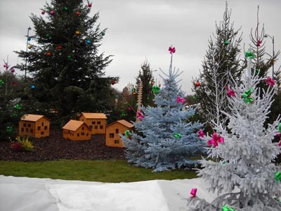 2009 : Lance­ment du sapin GLACE ROBIN®